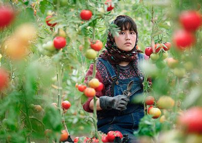 IN THE LAND OF BROTHERS